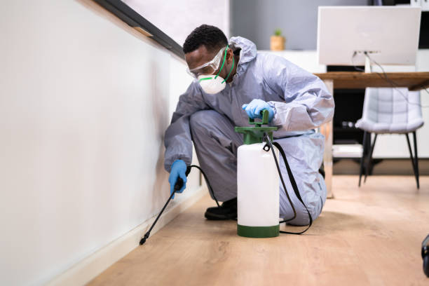 Best Commercial Pest Control  in West Hattiesburg, MS